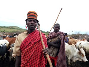 About Us pastoralism