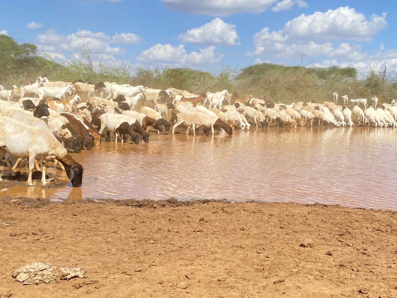 About Us water